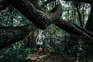 BIB: 
                            <button type="button" onclick="openModal(25663448)" class="btn btn-primary btn-sm float-right btn-popup" data-toggle="modal" data-target=".modal-high-quality">
                        <i class="fas fa-shopping-cart"></i> Add to Cart
                    </button>
                                            <button type="button" onclick="isThisMe(25663448, true)" class="btn btn-success btn-sm float-right btn-popup btn-isme hidden" data-toggle="tooltip" data-placement="bottom" title="นี่คือรูปของคุณใช่ไหม คลิกที่นี่เพื่อเอาเข้าอัลบั้ม">
                        <i class="fas fa-plus"></i> Add to album
                    </button>
                    <button type="button" onclick="isThisMe(25663448, false)" class="btn btn-warning btn-sm float-right btn-popup btn-isnotme hidden">
                        <i class="fas fa-ban"></i> Remove from album
                    </button>